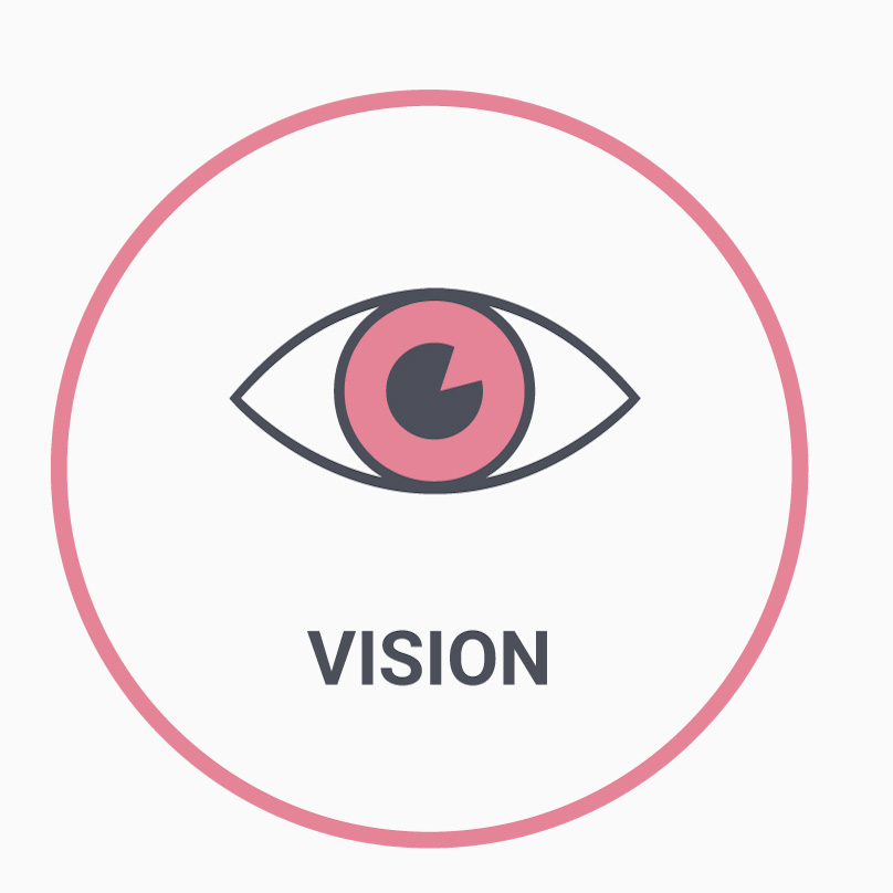 Light bulb icon representing vision